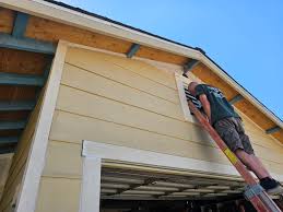 Best Siding Painting and Refinishing  in Highlands Ranch, CO